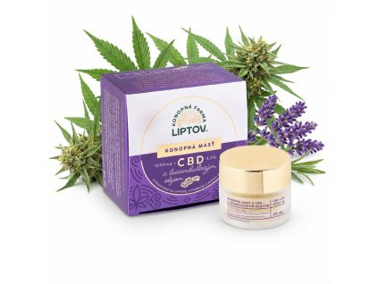 downloaded file (31)