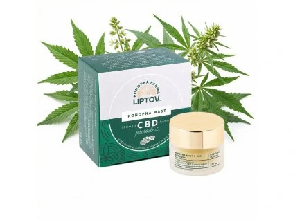 downloaded file (29)