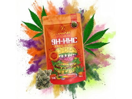 downloaded file 2026 02 13T092656.255