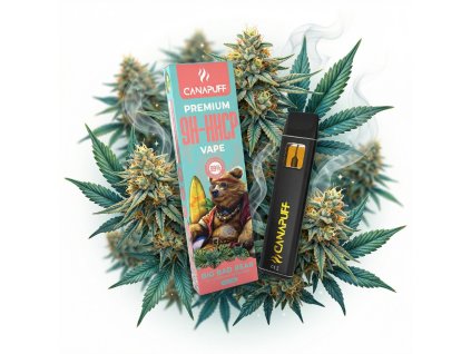 downloaded file (77)