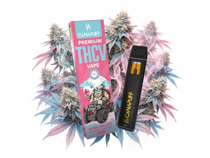 downloaded file (93)