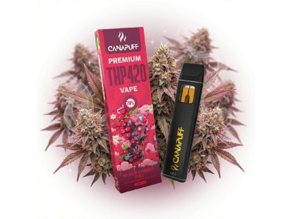 image 2026 02 10T102627.173