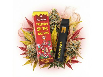 downloaded file (63)