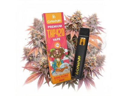 image 2026 02 10T102928.300