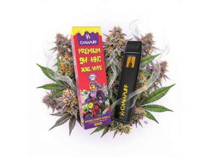 downloaded file (80)