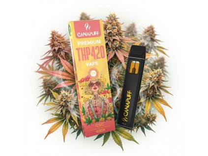 image 2026 02 10T102526.478