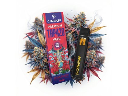 image 2026 02 10T102620.447