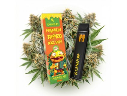 downloaded file (67)