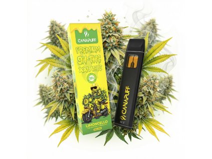 downloaded file (62)