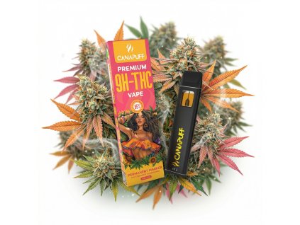 downloaded file (82)