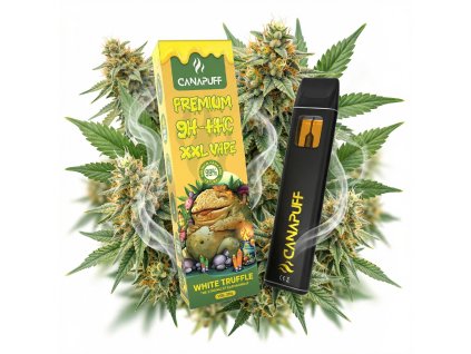 downloaded file (88)