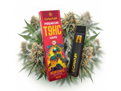 image 2026 02 10T100256.529