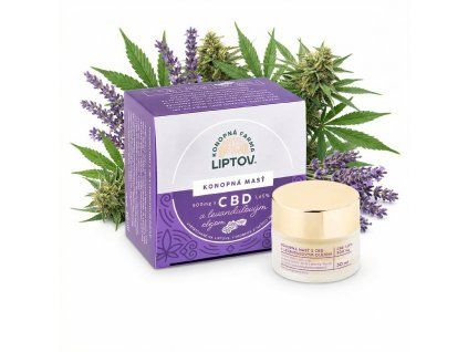 downloaded file (32)