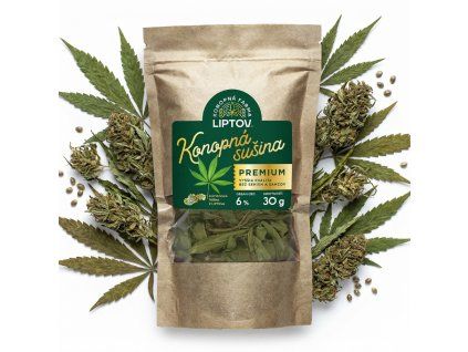 downloaded file (20)