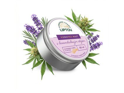 downloaded file (35)