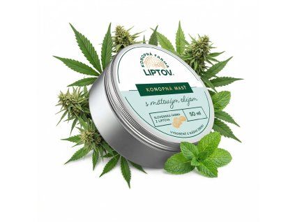 downloaded file (33)