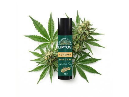 downloaded file (42)