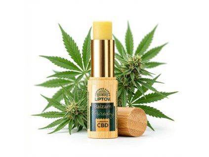 downloaded file (41)