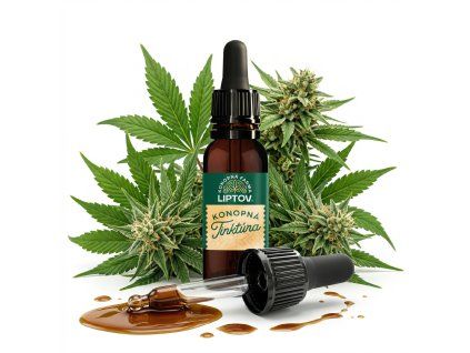 downloaded file (45)