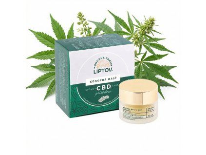 downloaded file (29)