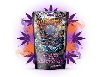 downloaded file (51)