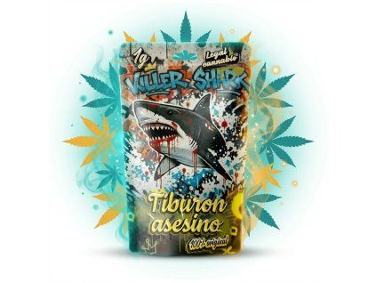 downloaded file (49)