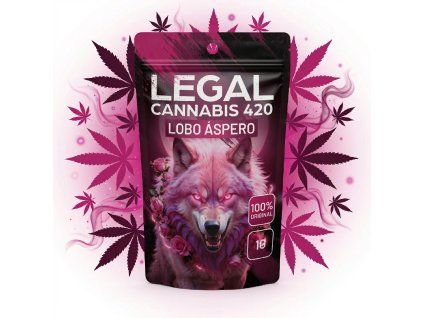 downloaded file (46)