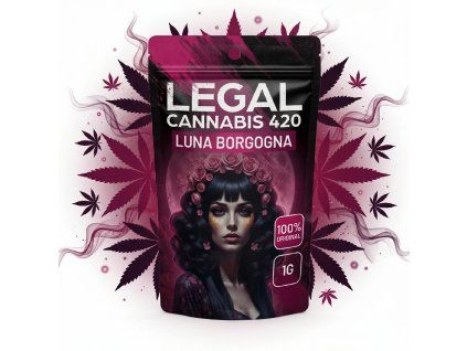 downloaded file (26)