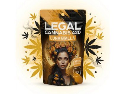 downloaded file (47)