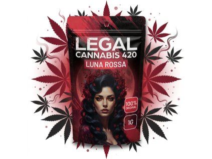 downloaded file 2026 03 27T130722.750