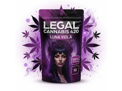 downloaded file (48)