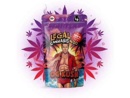 downloaded file (55)