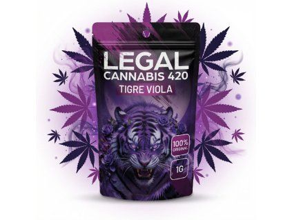 downloaded file (27)