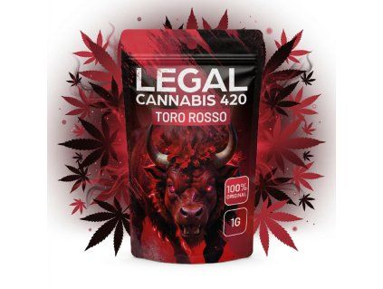 downloaded file 2026 03 27T123343.257