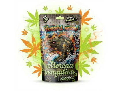 downloaded file (50)