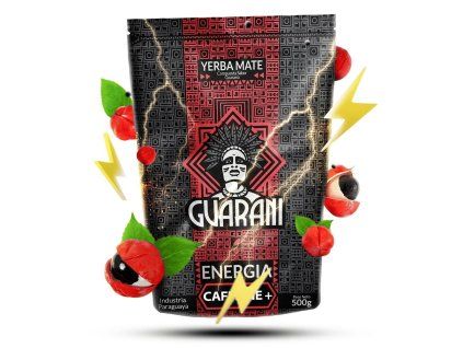 3918 guarani yerba mate energia 500g