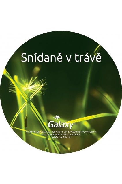 snidane v trave disk