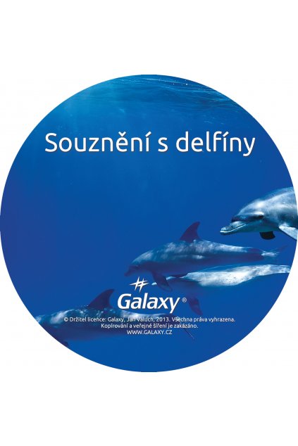 souzneni s delfiny disk