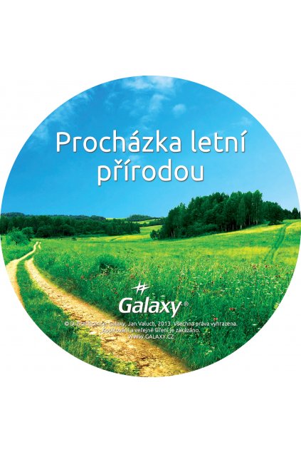 prochazka letni prirodou disk