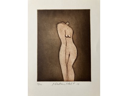 Kodet Kristián - Milenci (Objetí) 2008