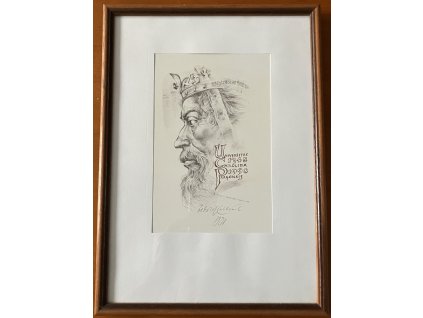 Kulhánek Oldřich - Karel IV.