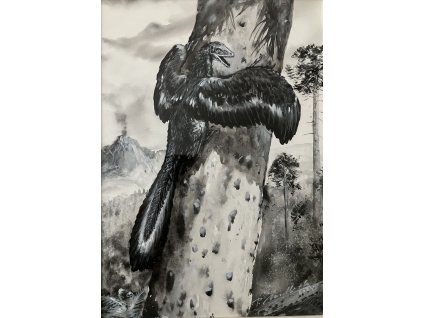 Modlitba Petr - Pravěký pták