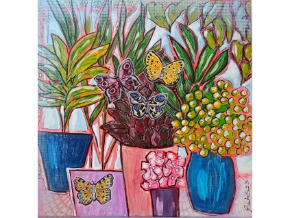 Plants
