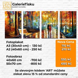 Tisk na plátno a fotografie – Zachyťte své vzpomínky stylově! Nabízíme kvalitní tisk na plátno a fotografie všech...