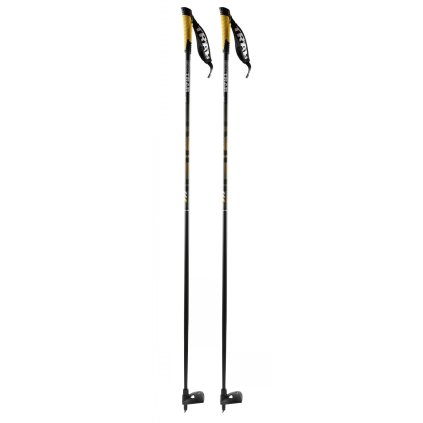 SKITRAB GARA POLES SKIALP PALICE