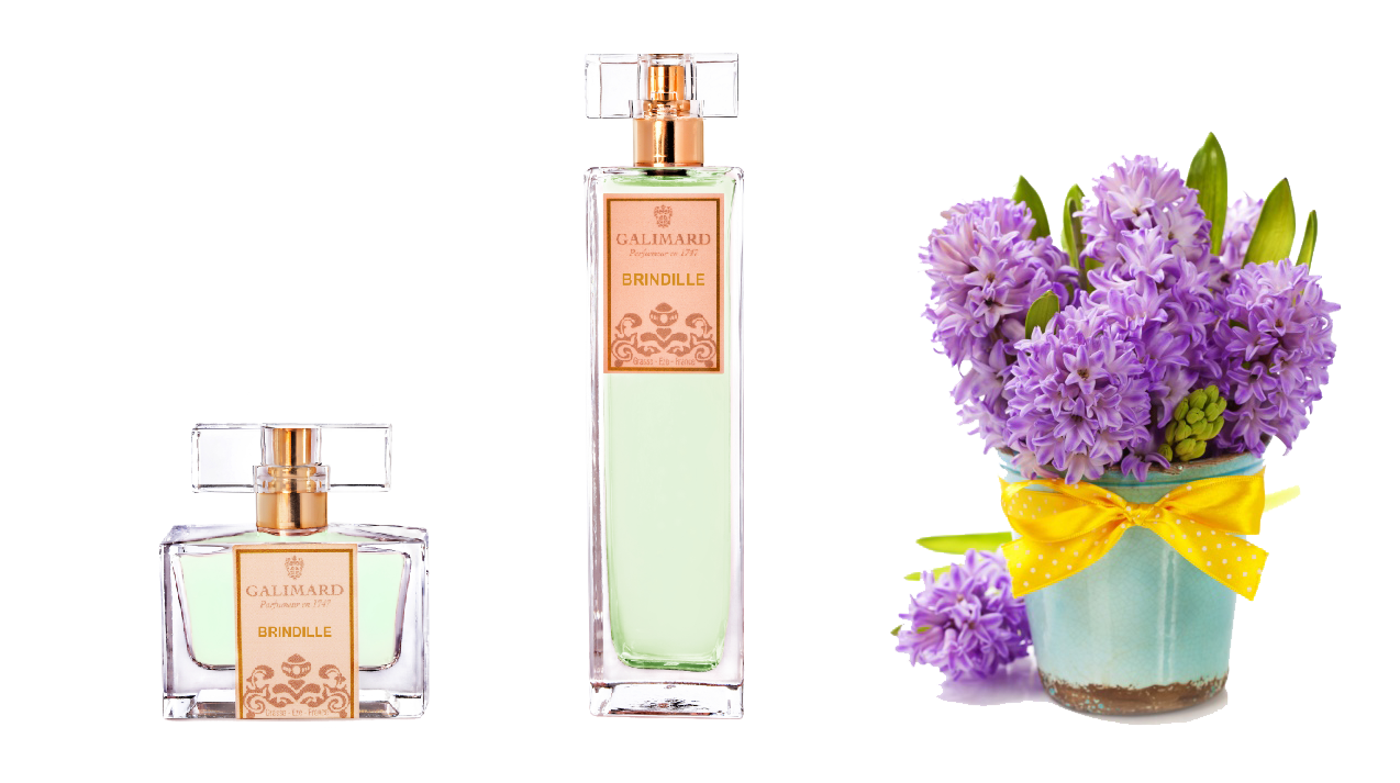 Znáte 7 znaků niche parfémů?