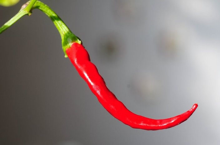 Nejšílenější příchuti e-liquidů: už jste zkoušeli chilli, žužu nebo zázvor?