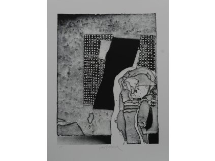 Vladimír Suchánek - Čekání