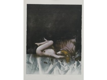 Vladimír Suchánek - Ležící