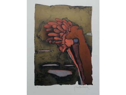 Vladimír Suchánek - Máj II